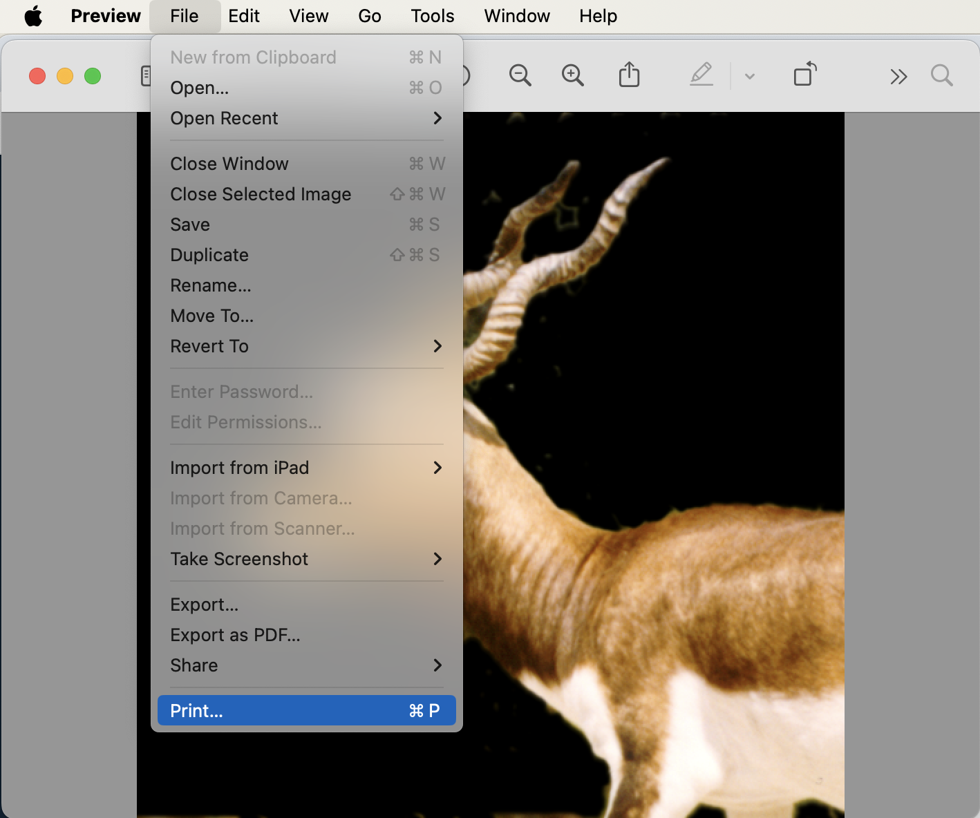 How To Convert BMP to PDF on Mac: Step 2