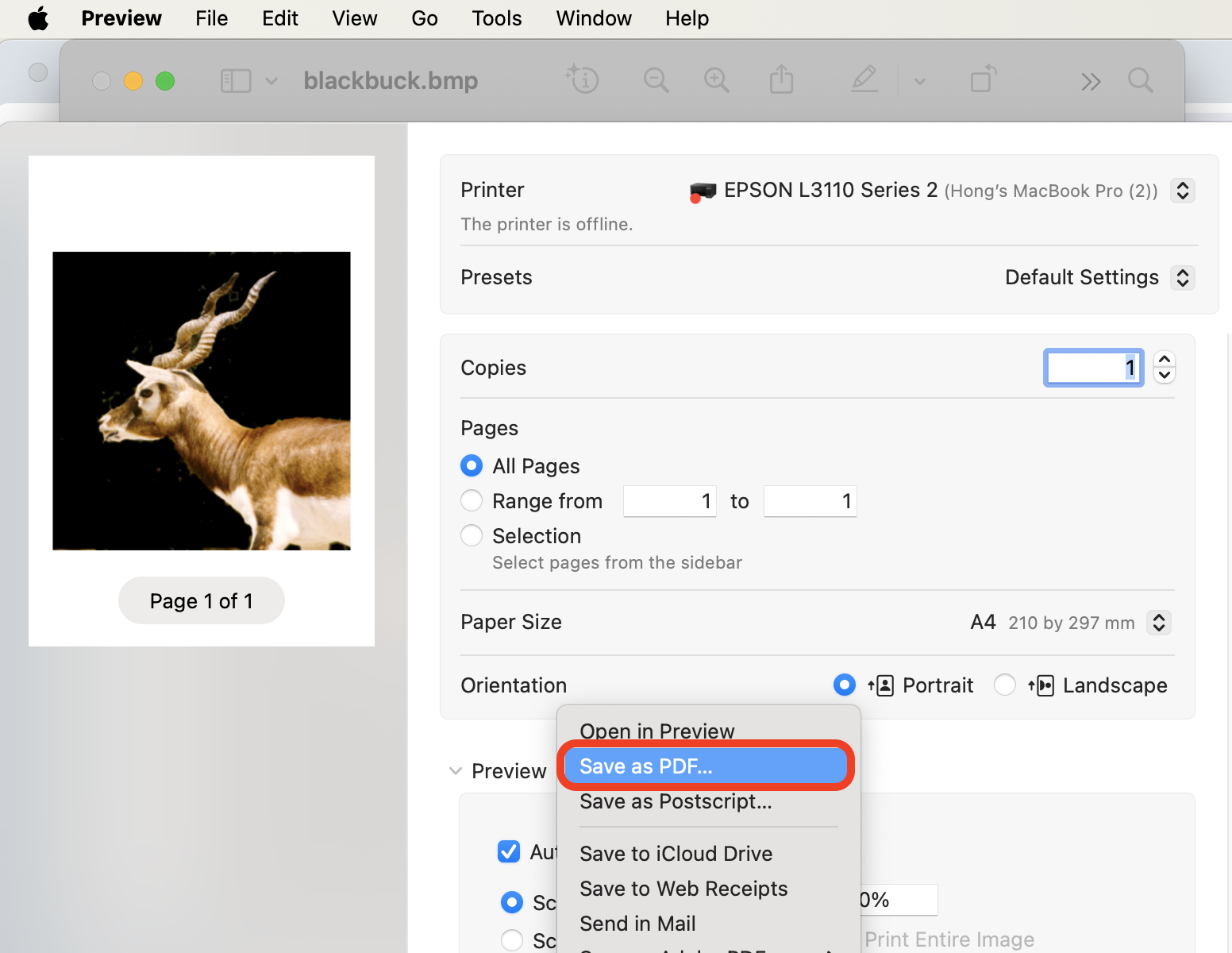 How To Convert BMP to PDF on Mac: Step 2