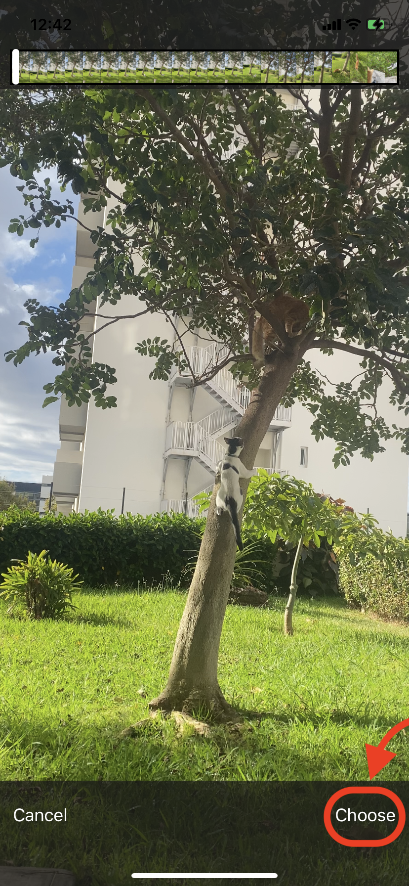 How To Use an Online Platform: Clideo: Step 3