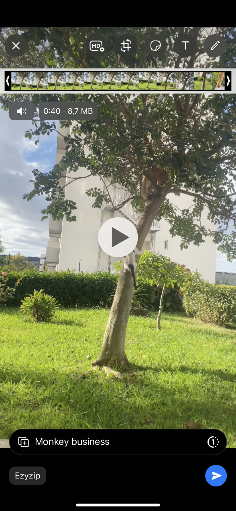 Cara Menggunakan Fitur Bawaan WhatsApp: Langkah 3