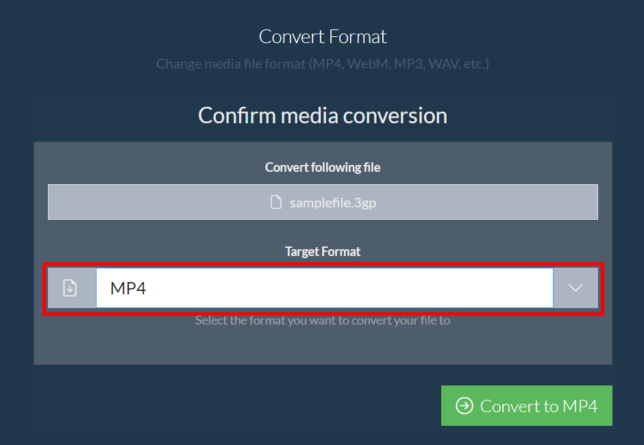 How to Convert 3GP to MP4 Using ezyZip Media Converter: Step 5