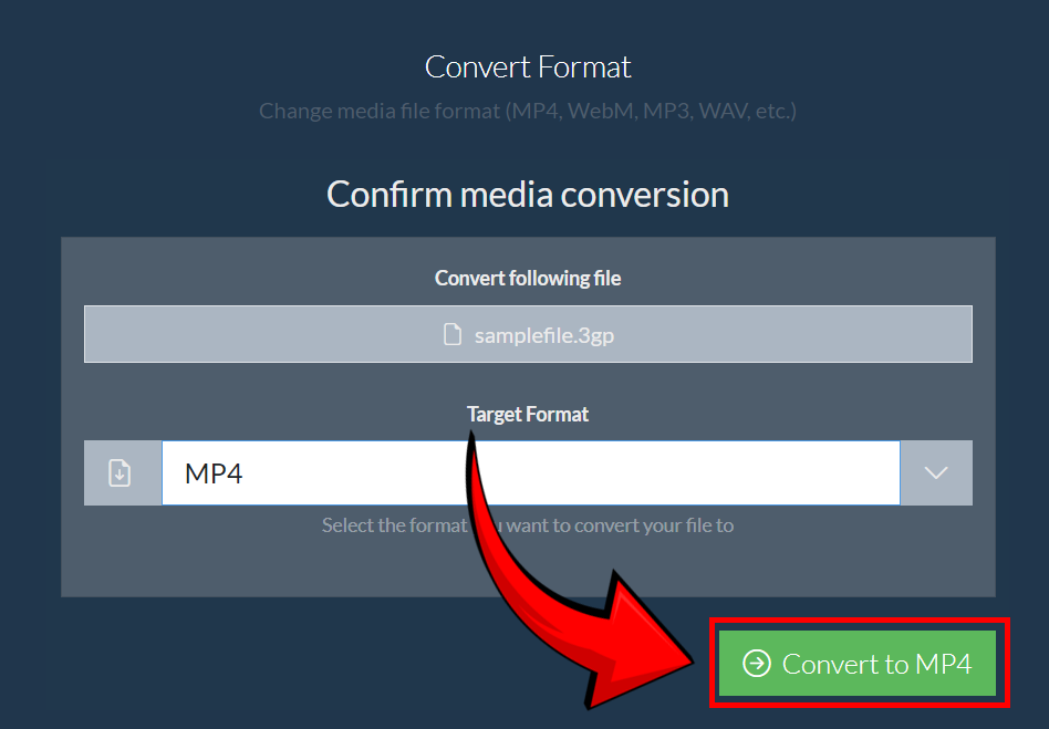 How to Convert 3GP to MP4 Using ezyZip Media Converter: Step 6