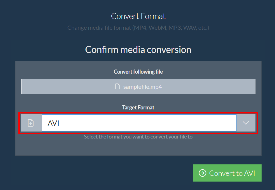 How to Convert Media Files Using ezyZip Media Converter: Step 5