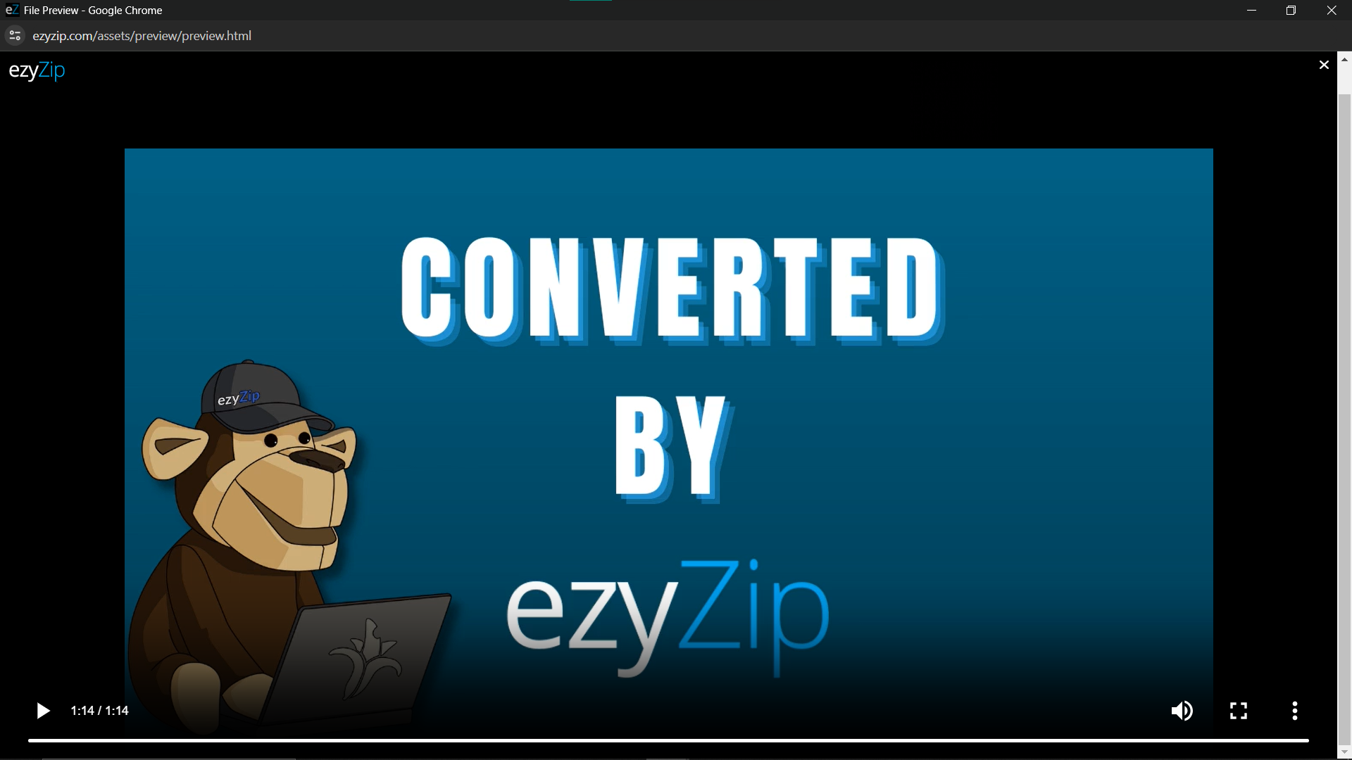 How To Convert Using ezyZip (Online Tool): Step 4