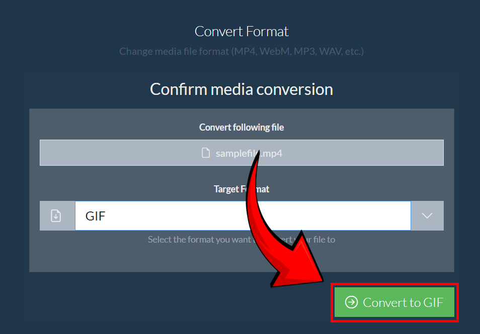 How to Convert Video to Photo Using ezyZip Media Converter: Step 6