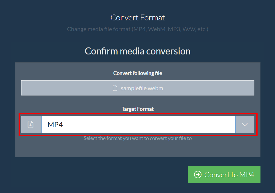 How to Convert WEBM to MP4 Using ezyZip Media Converter: Step 5