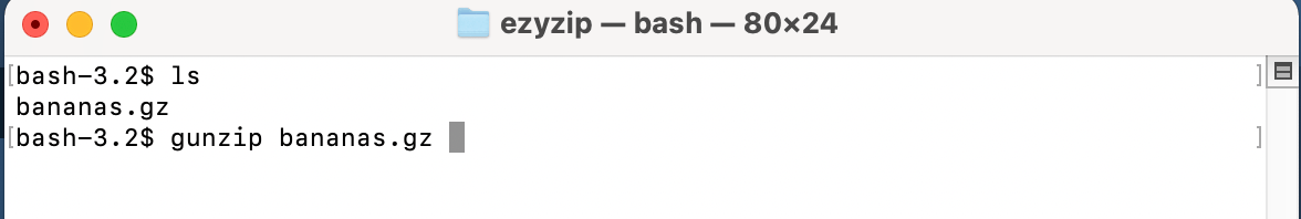 How To Open GZ Files on macOS: Step 3