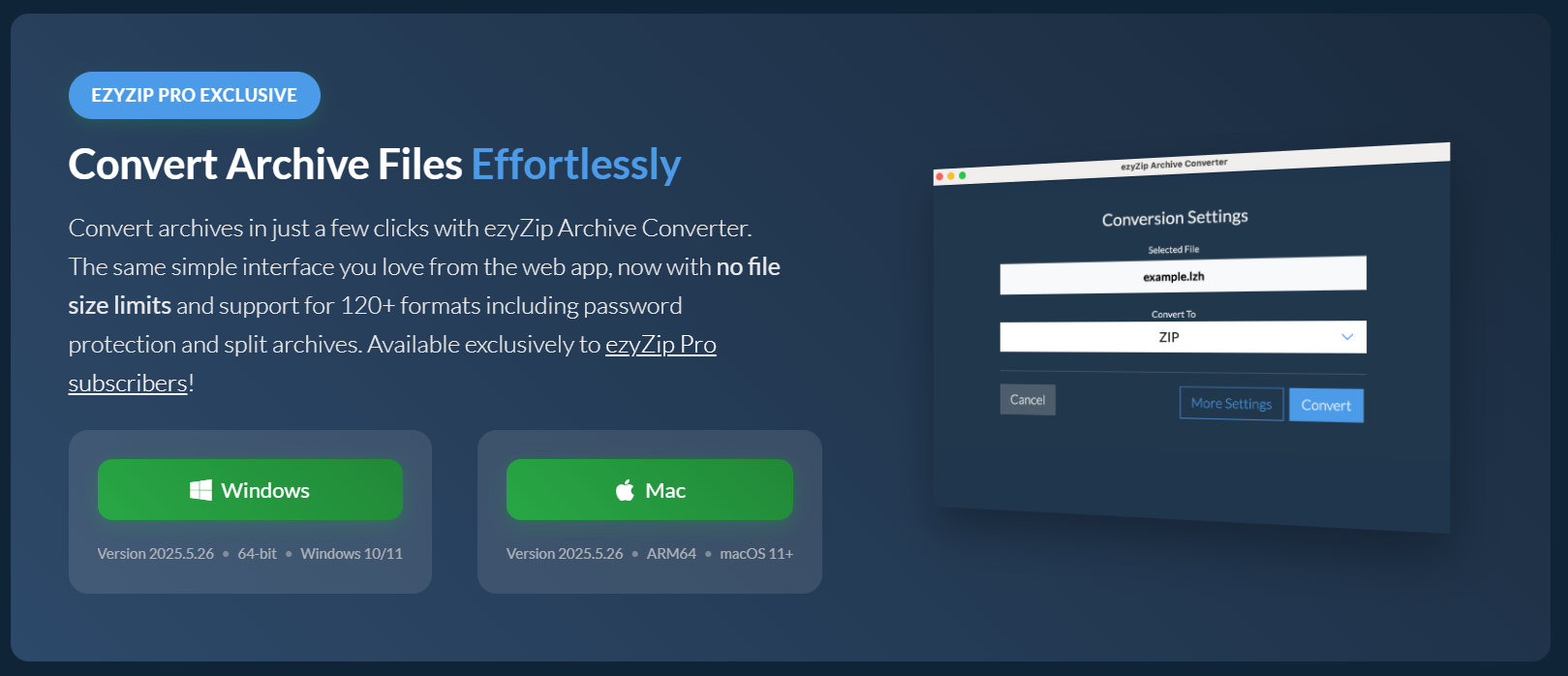 Using ezyZip Archive Converter: Step 4