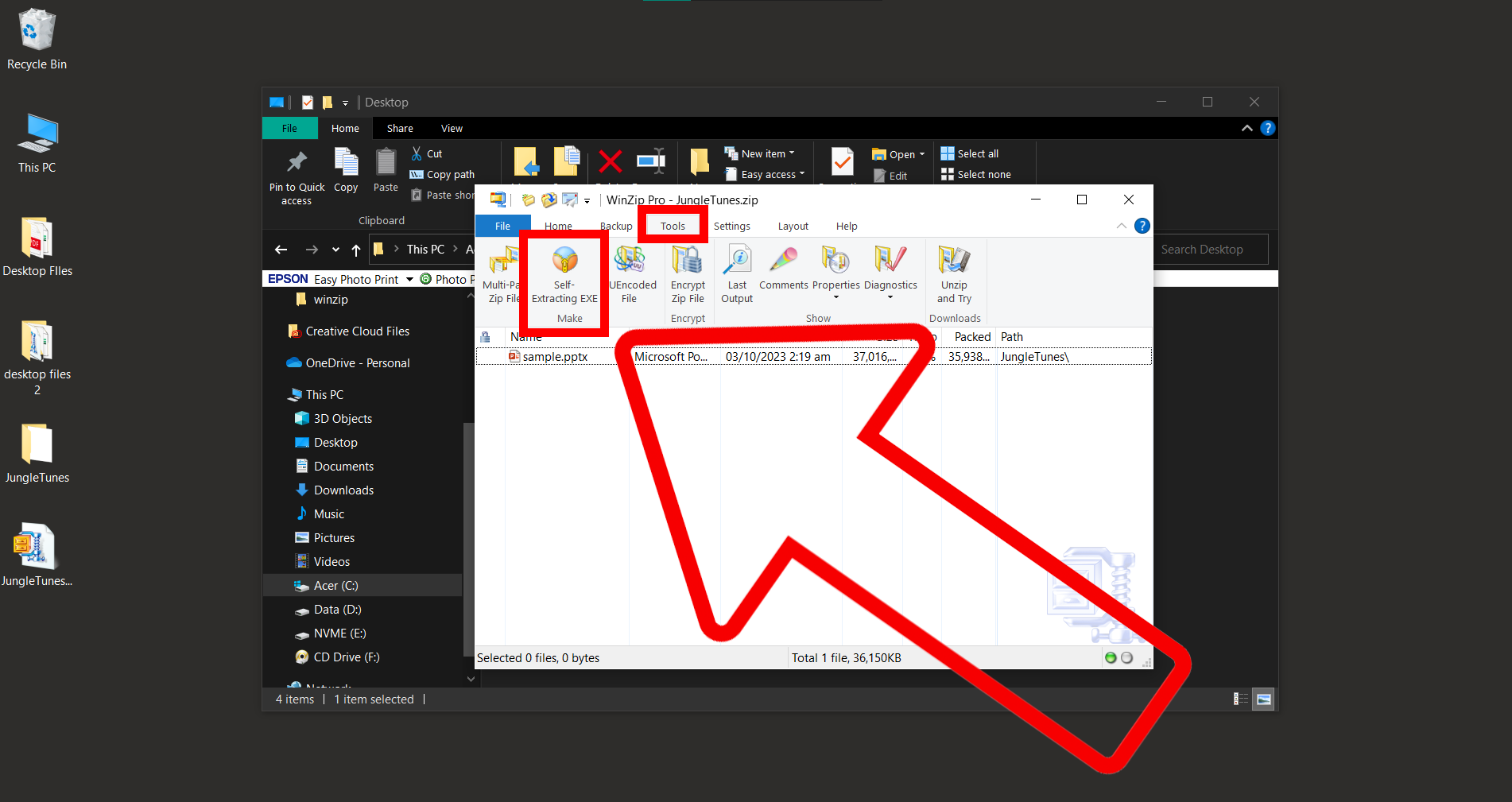 How To Create SFX Files Using WinZip: Step 5