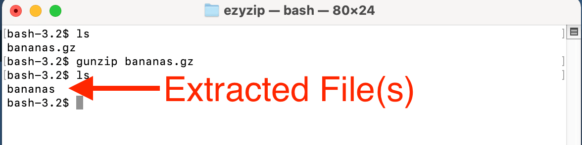 How To Open GZ Files on macOS: Step 4