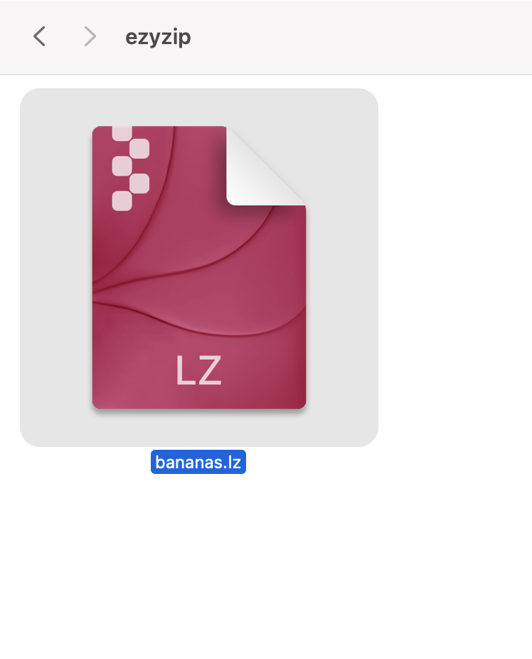 How To Open LZ Files on MacOS Using Keka: Step 2