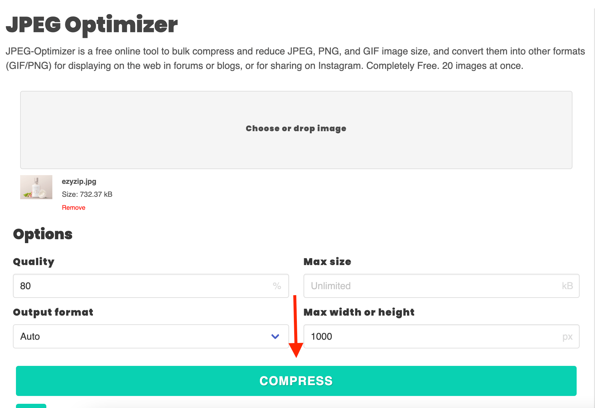 How To Reduce JPEG File Size Using JPEG Optimizer: Step 4