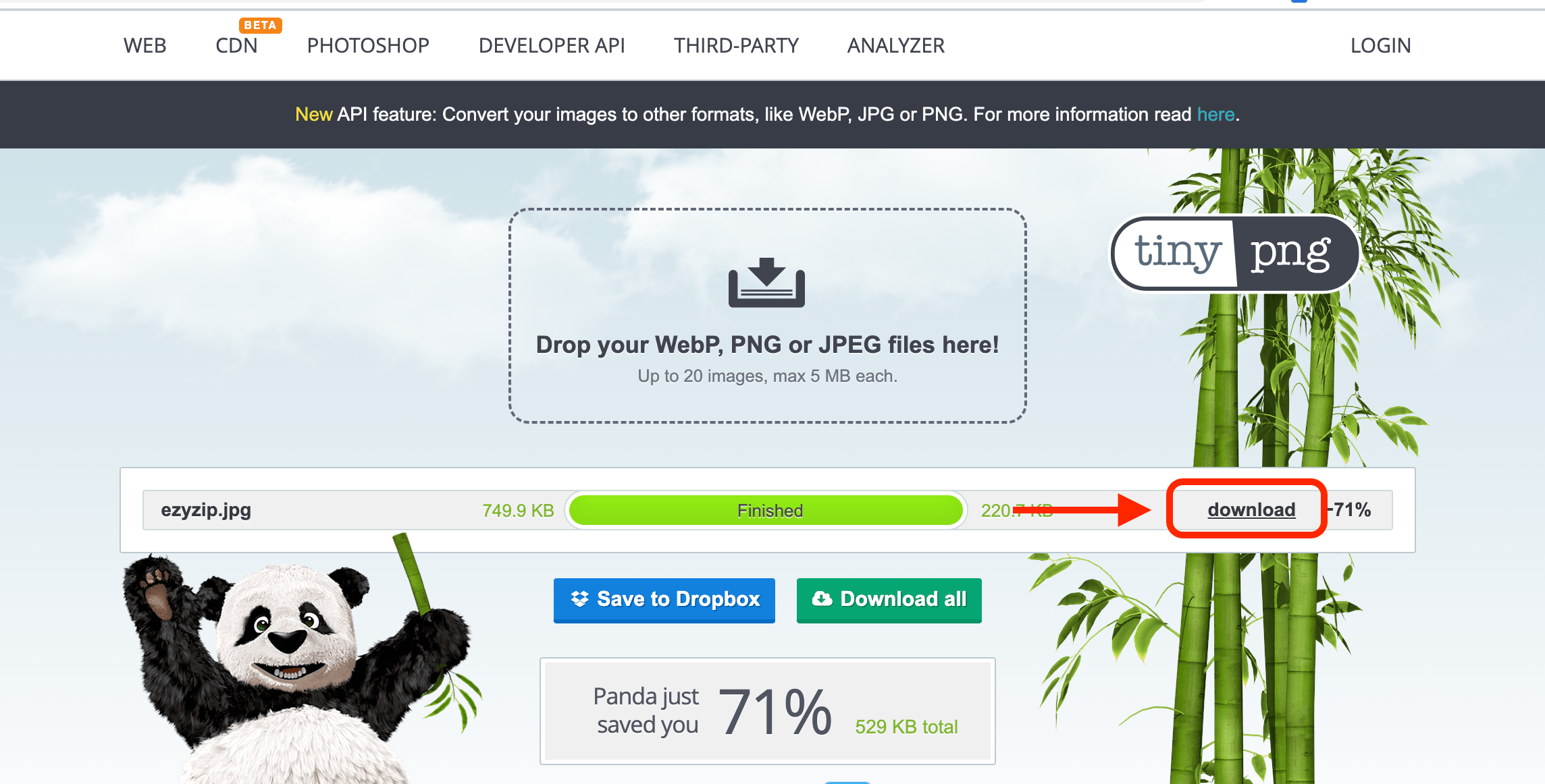 How To Reduce JPEG File Size Using TinyPNG: Step 4