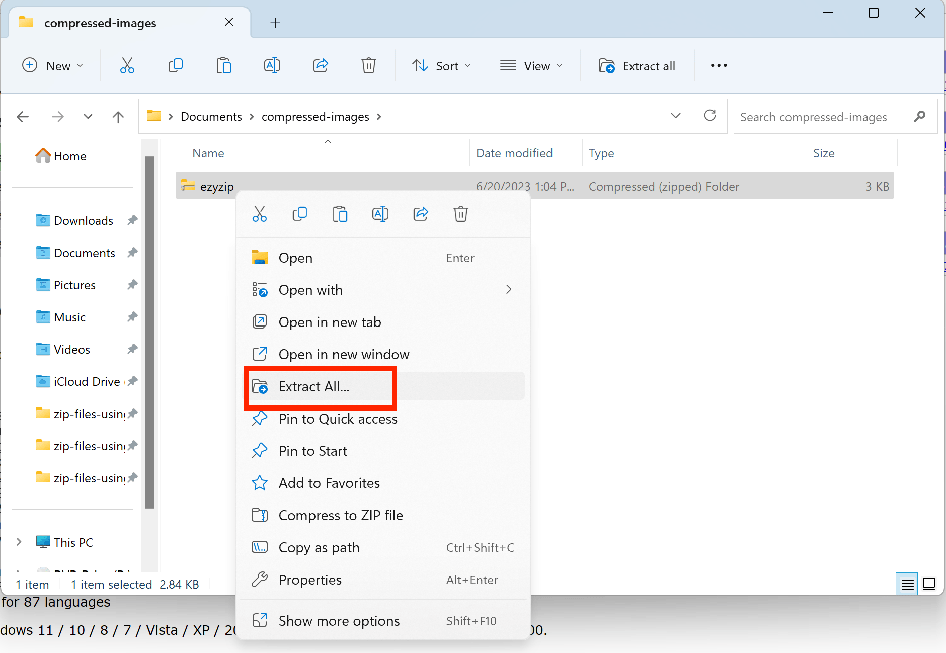 how-to-unzip-using-file-explorer-2.png
