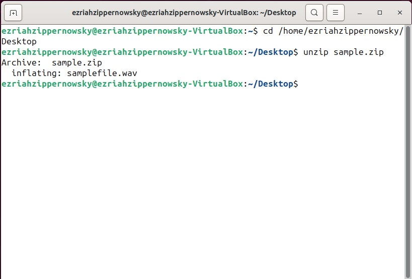 How To Unzip A Directory in Linux: Step 2