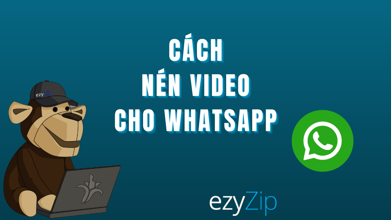 Hướng dẫn sử dụng