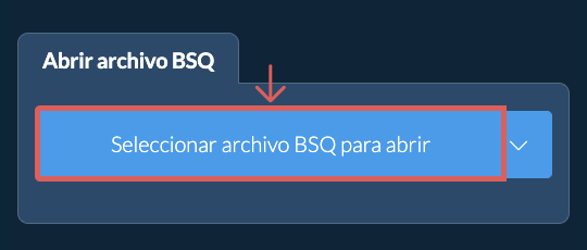 Abrir archivo BSQ