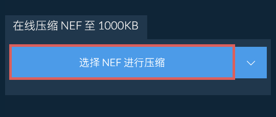 在线压缩 NEF 至 1000KB