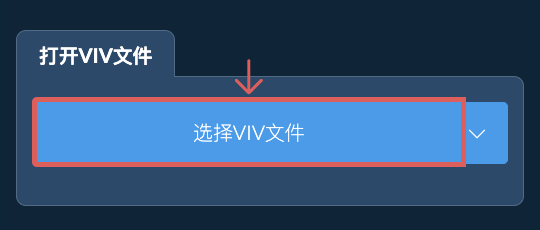 打开VIV文件