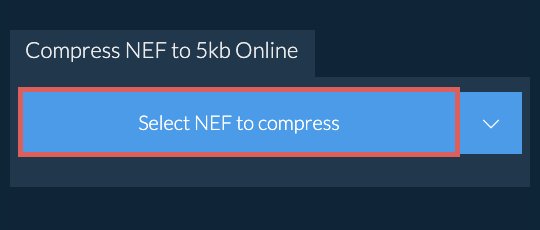 Compress NEF to 5kb Online