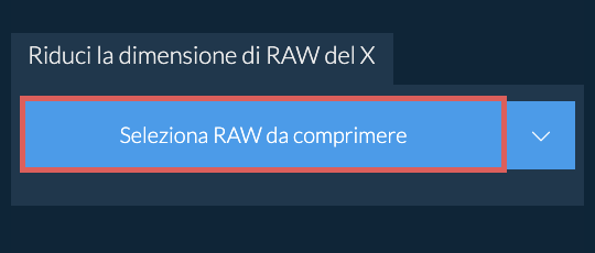 Riduci la dimensione di RAW del X