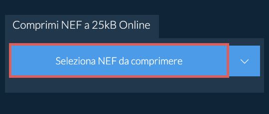Comprimi NEF a 25kB Online