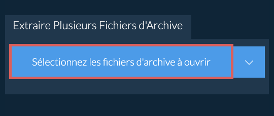 Extraire Plusieurs Fichiers d'Archive