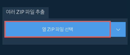 여러 ZIP 파일 추출