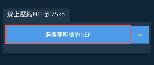 線上壓縮NEF到75kb