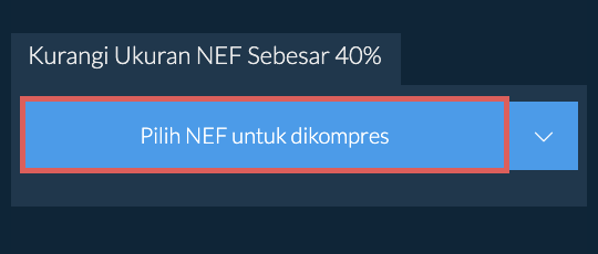 Kurangi Ukuran NEF Sebesar 40%