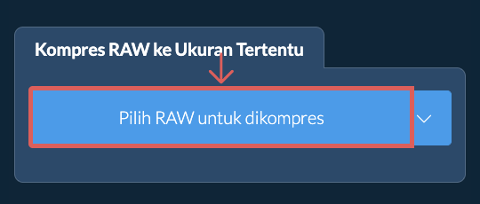 Kompres RAW ke ukuran tertentukb Online