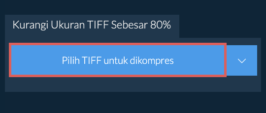 Kurangi Ukuran TIFF Sebesar 80%