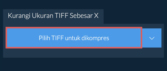 Kurangi Ukuran TIFF Sebesar X