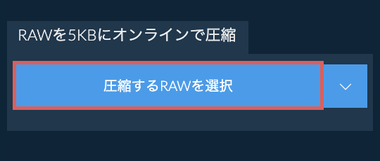 RAWを5KBにオンラインで圧縮