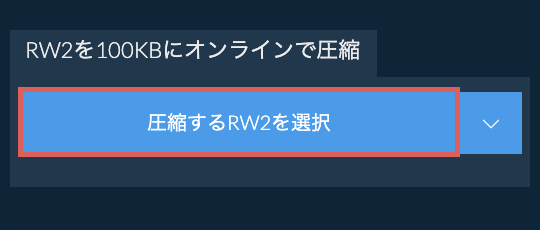 RW2を100KBにオンラインで圧縮