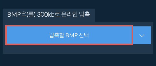 BMP을(를) 300kb로 온라인 압축