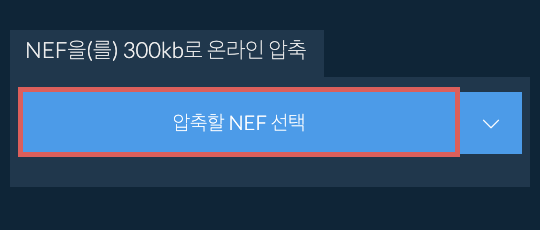 NEF을(를) 300kb로 온라인 압축