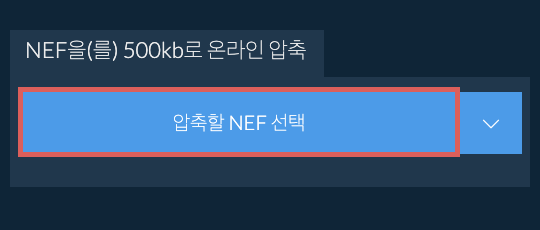 NEF을(를) 500kb로 온라인 압축