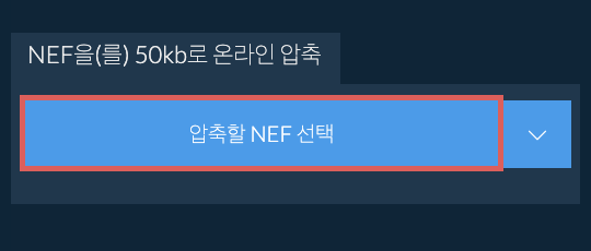 NEF을(를) 50kb로 온라인 압축