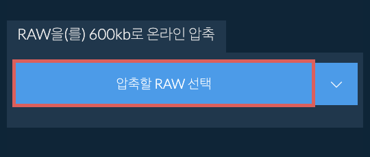 RAW을(를) 600kb로 온라인 압축