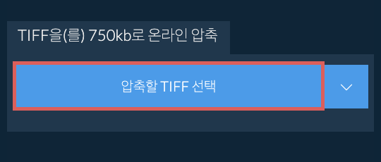 TIFF을(를) 750kb로 온라인 압축
