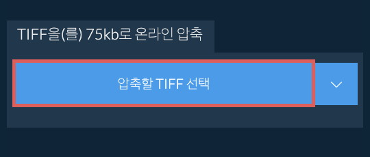 TIFF을(를) 75kb로 온라인 압축