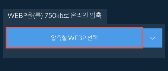 WEBP을(를) 750kb로 온라인 압축