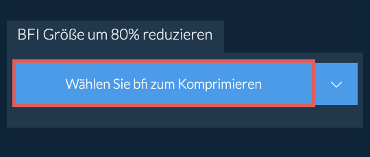 bfi Größe um 80% reduzieren
