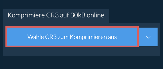 Komprimiere CR3 auf 30kB online