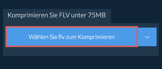 Komprimieren Sie flv unter 75MB
