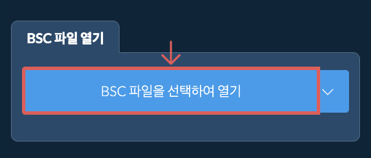 BSC 파일 열기
