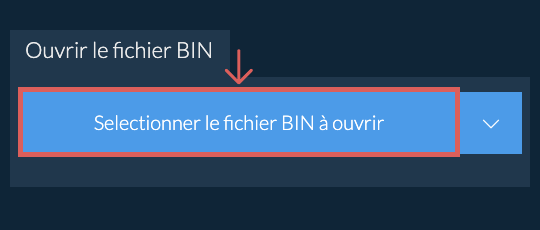 Ouvrir le fichier BIN