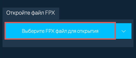 Откройте файл FPX