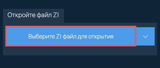 Откройте файл ZI